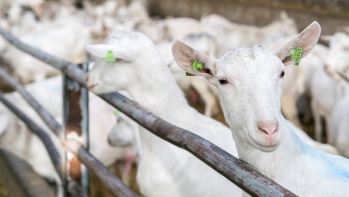 Veelgestelde vragen achtergrond0